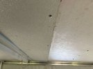 ceiling2.jpg ceiling2.jpg